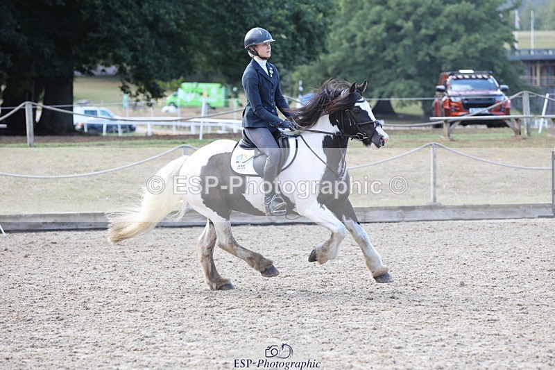 250831A-173143-11545 - Cls 46 85cm Amateur Quali