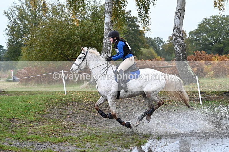 WJ7_1352 - 80cm Cam 2 Water Time 11:29 to 11:46