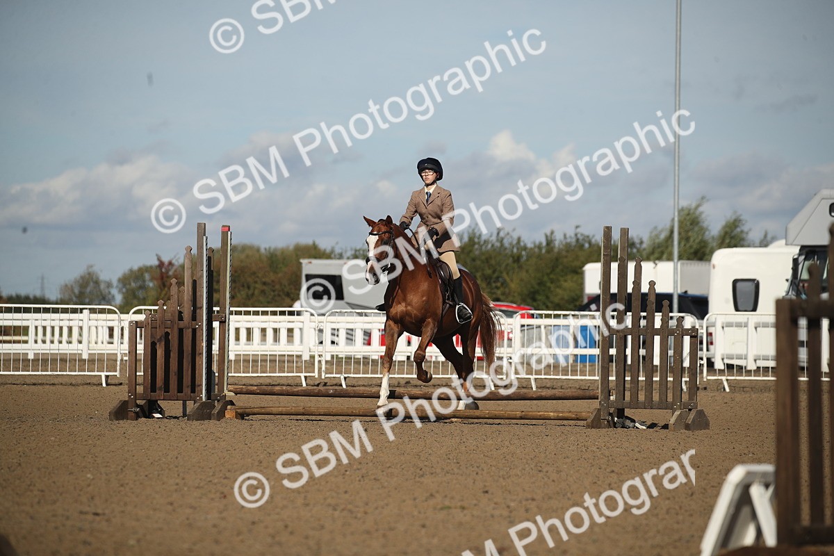 SBM_12714 - Class 504b - Junior Working Veteran - 40cm (20+)