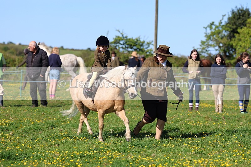 3E7A8734 - Class 2: Lead rein