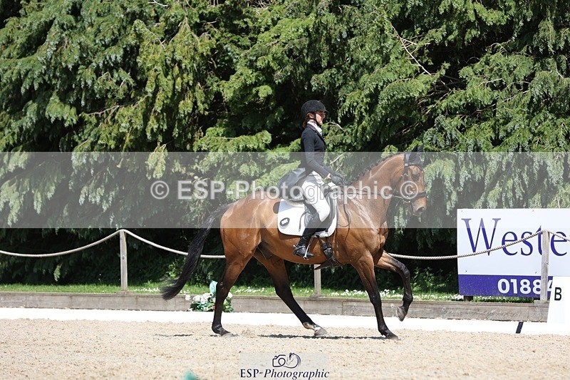 230526-142050-06505 - 373-BENGAL_LORE-Pippa_Taylor-WEDTrotUp+DR