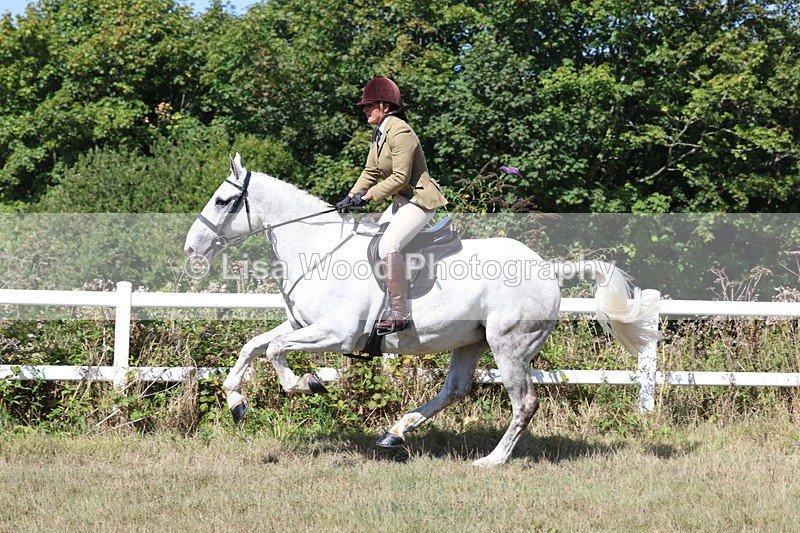 3E7A6438 - Working Hunter Championship