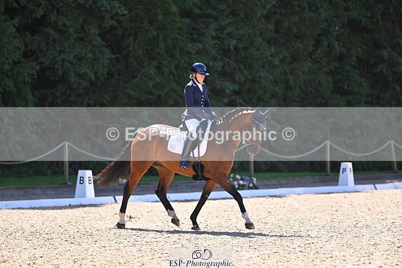 240809-111219-00517 - 133-Dawn.Bear-First.Taylor.Made