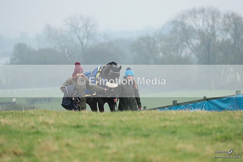 PtP 100324 461 - Pytchley with Woodland Point-to-Point Guilsborough 10/03/24