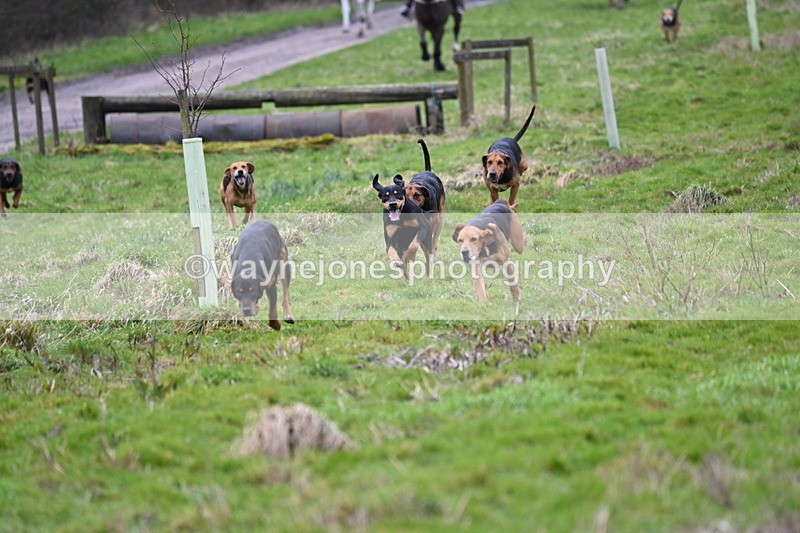 WJ6_8191 - Cam B