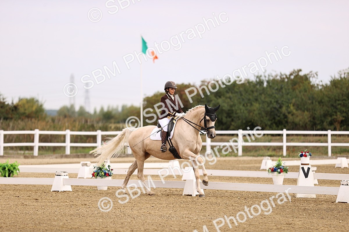 SBM_011513 - Class 1 - Medium 5