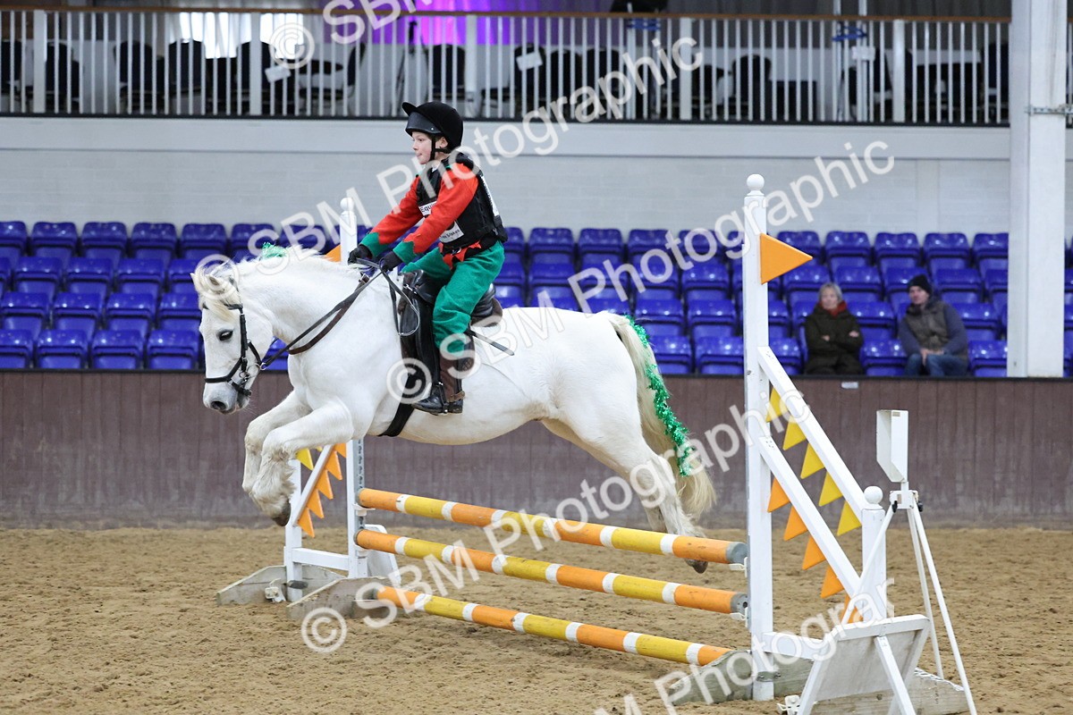 SBM_001217 - Class 3 - Christmas Tree Stakes - 60cm