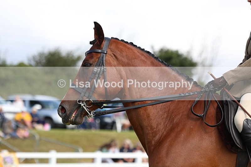 3E7A9477 - Class 4: Rising Star M/H Hunter