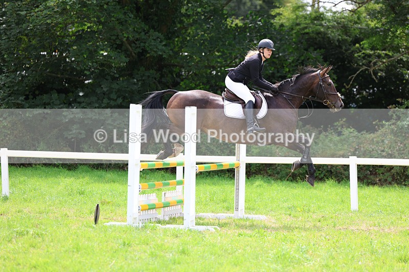 3E7A6944 - Class 5: Senior British Novice/90cm open