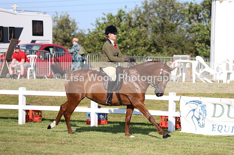 3E7A5084 - Class 1: Rising Star Small Hack/Riding Horses