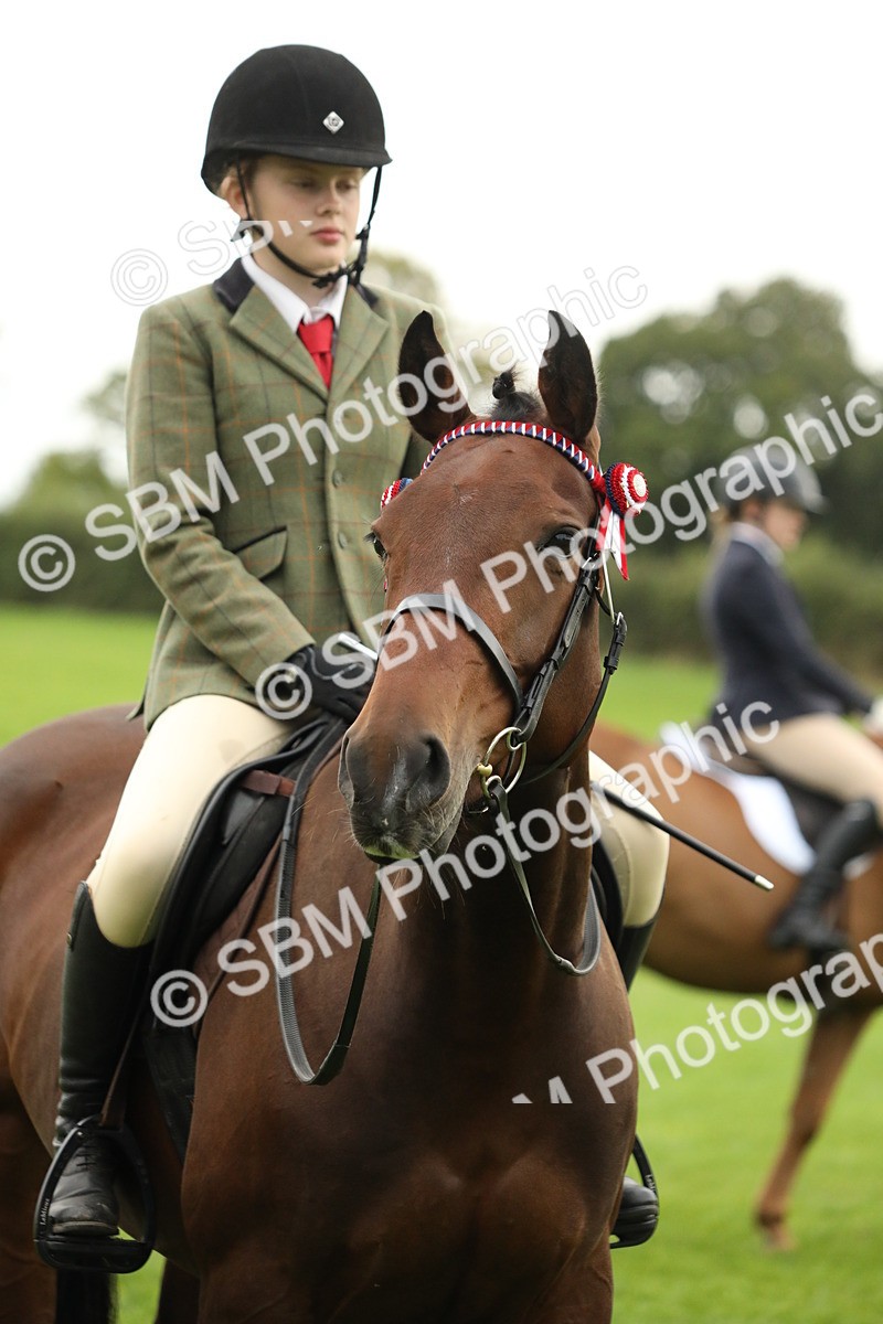 SBM_73823 - S41 - Ridden Equitation (Best Rider)