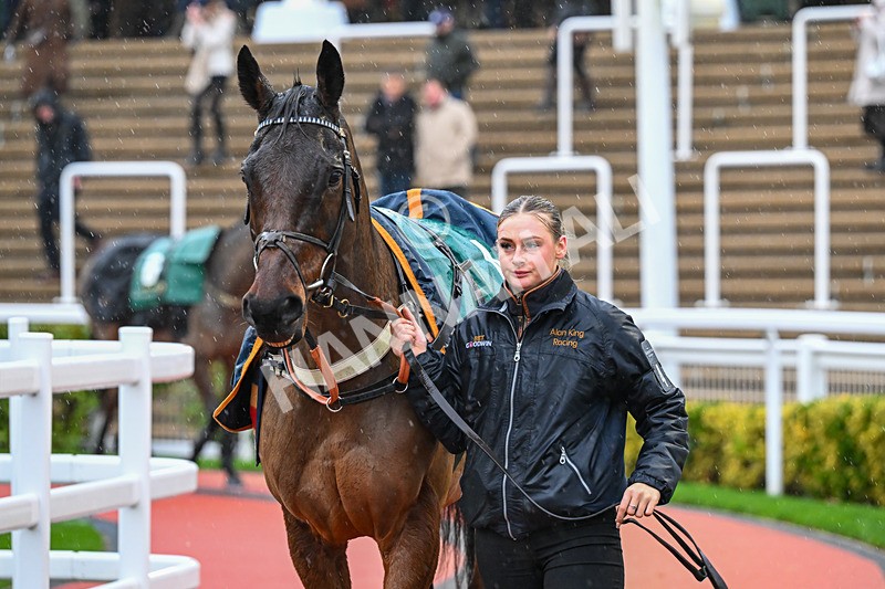 141125-Race 4-Edwardstone-0103 - Race 4