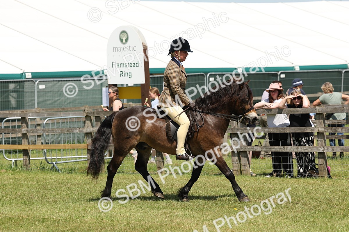 SBM_06805 - Class 26-30 - Mountain and Moorland Ridden