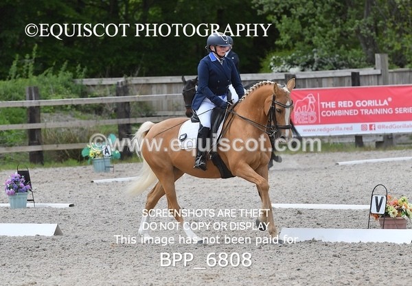BPP_6808 - 3 D HARRISON