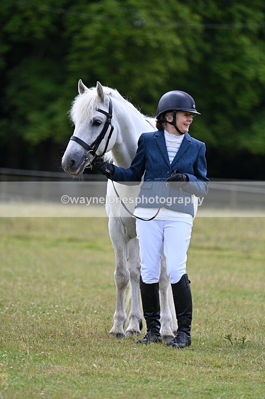 WJ7_7063 - Class 5a Most Handsome Gelding in Hand