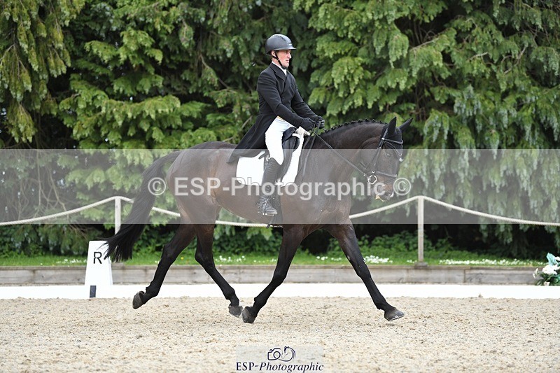 230525-141344-03113 - 319-RINGFORT_REVE_DU_MOULIN-Andrew_Downes-WEDTrotUp+DR