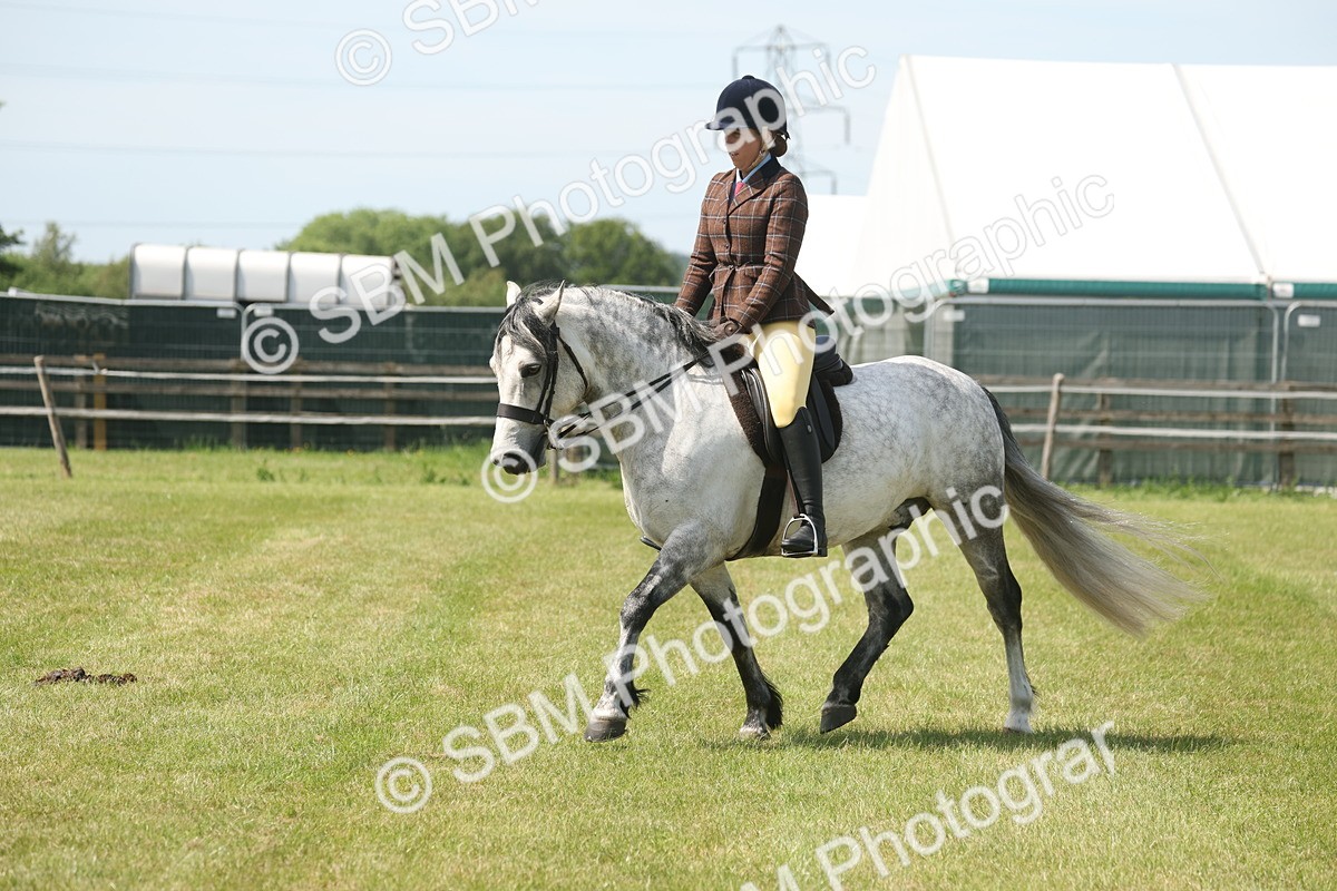 SBM_07613 - Class 26-30 - Mountain and Moorland Ridden