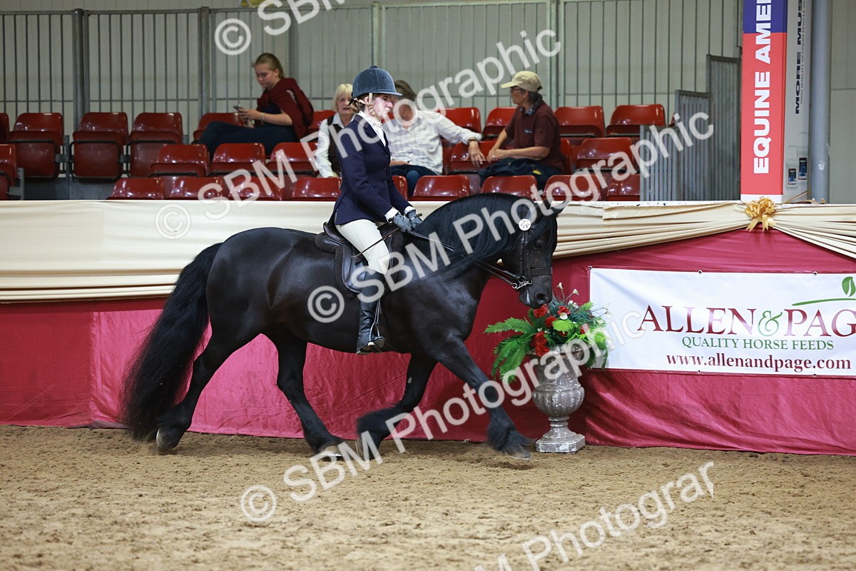 SBM_18713 - Class 952 - M&M Ridden Supreme Final