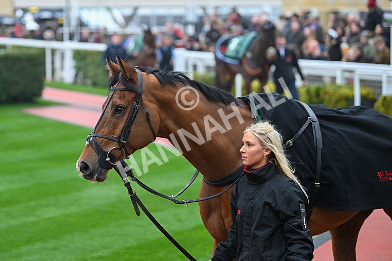 131224-Race 2-Deafening Silence-8671 - Race 2