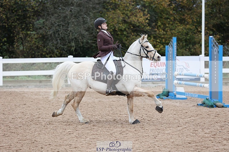 241116X-101333-00787 - Cls 08 Pony Winter Nov Champs