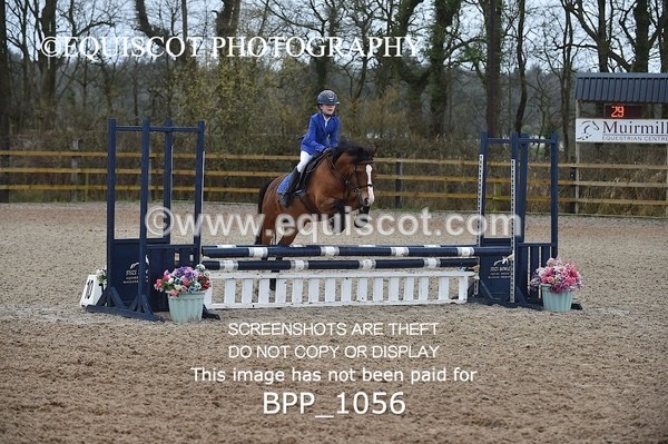 BPP_1056 - CLASS 1 Club/ Unaffiliated 60cms Open