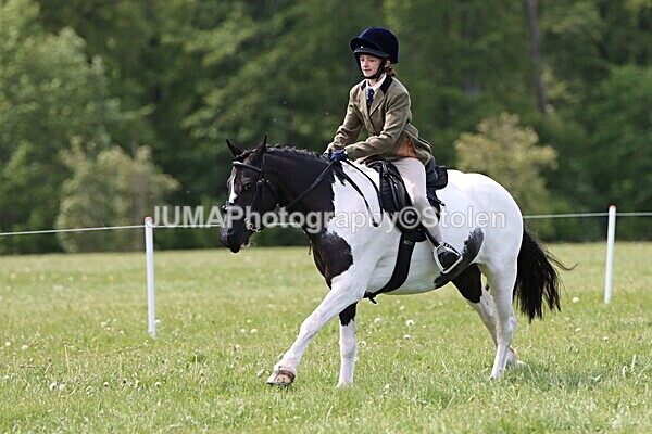 IMG_3376 - Working Hunter