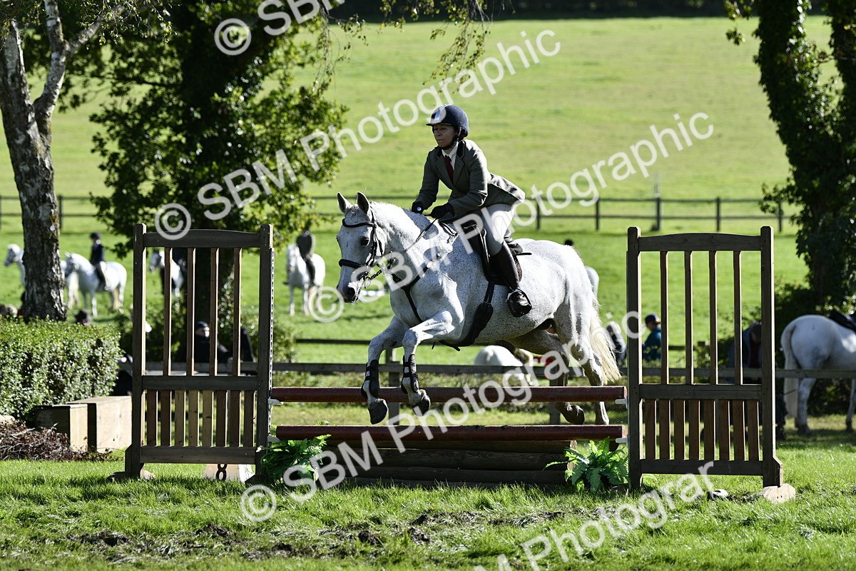 SBM_50025 - S34 - Novice & Newcomers Working Hunter