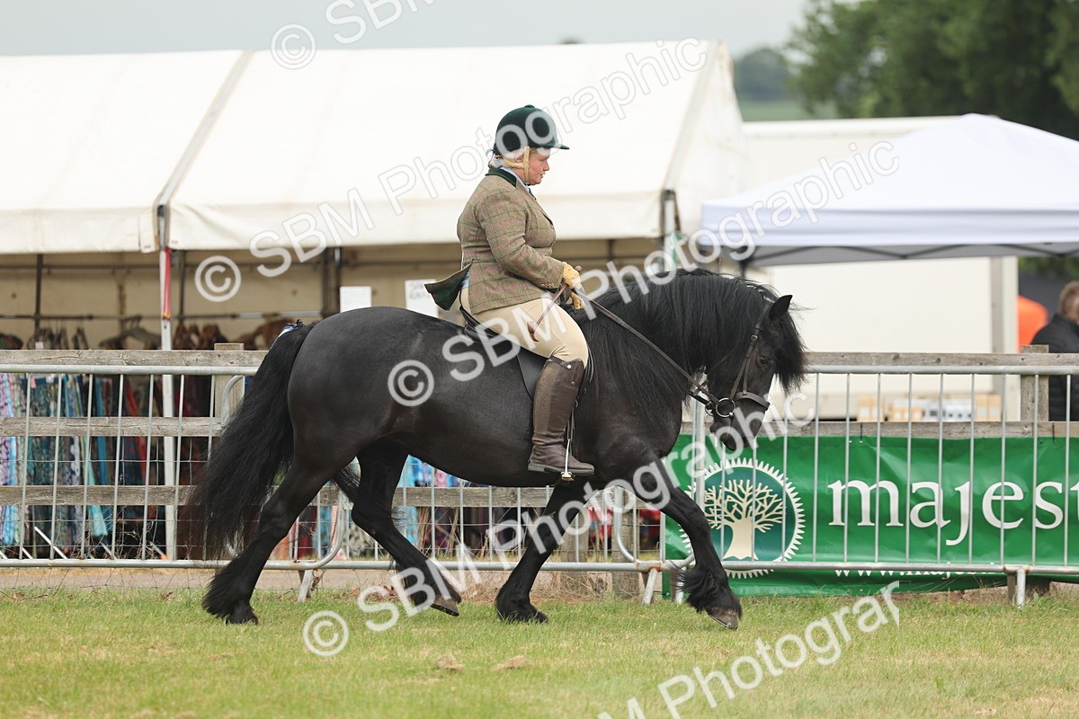 SBM_08918 - Class 78-80 - Ridden M&M Non Welsh Ponies