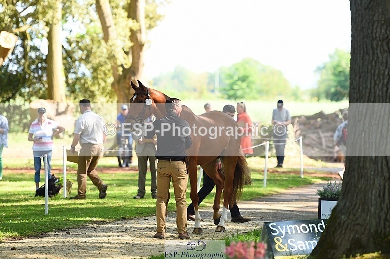 230524-164042-01014 - 111-CREEVAGHSTABLES_IFICUDIWUD-Tim_Cheffings-WEDTrotUp+DR