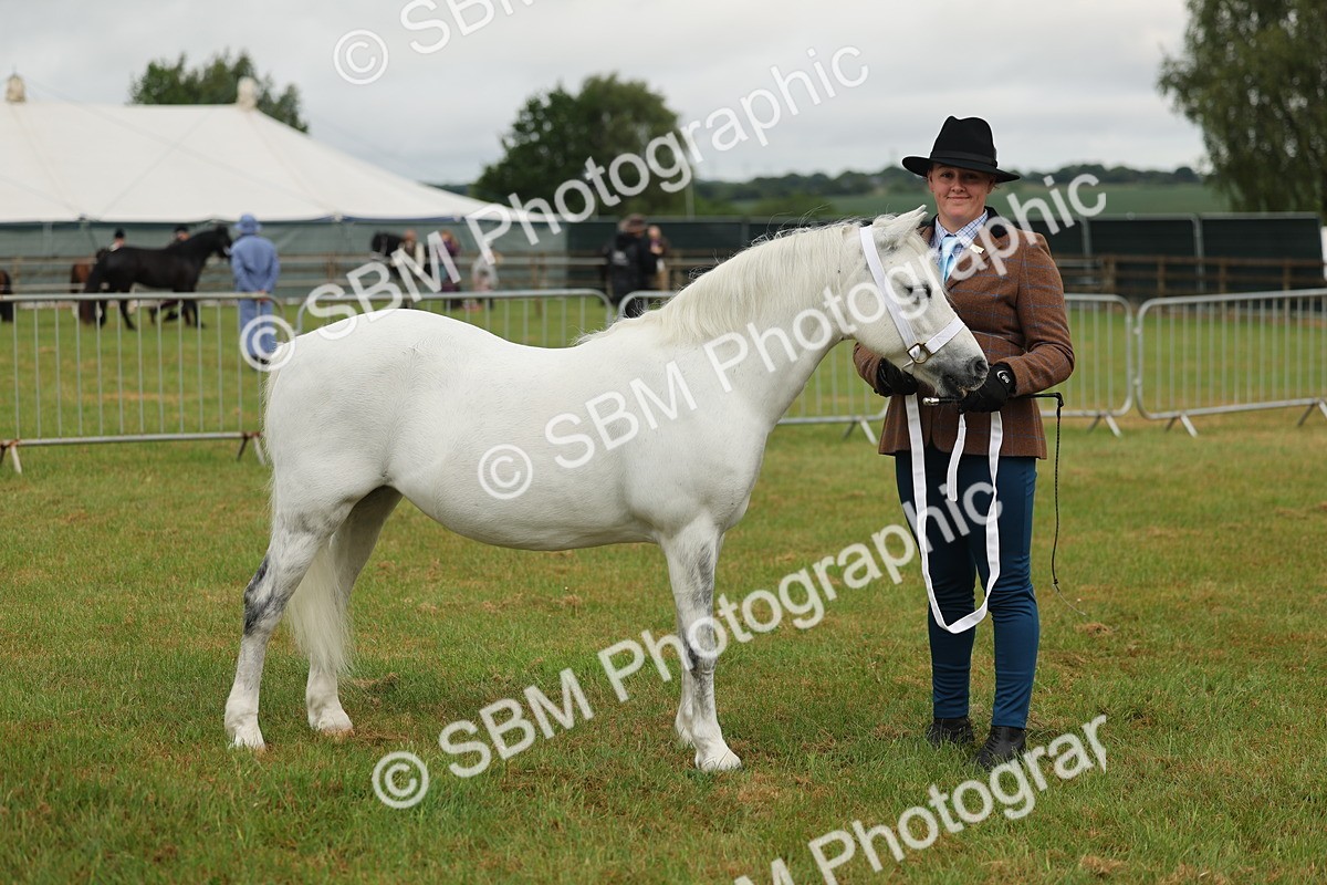 SBM_01592 - Class 50-57 - M&M Welsh Pony In Hand