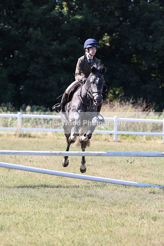 3E7A5503 - Class 3: Working Hunter 70cm