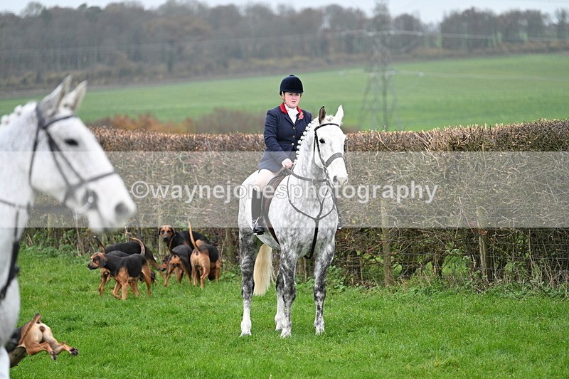 WJ7_8805 - Meet Staff & Hounds