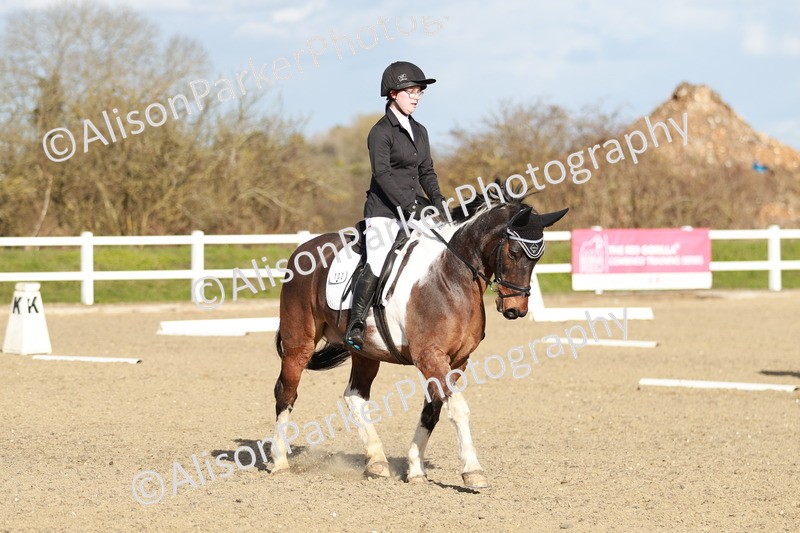 20260314-5306 - DR4 - Prelim 2