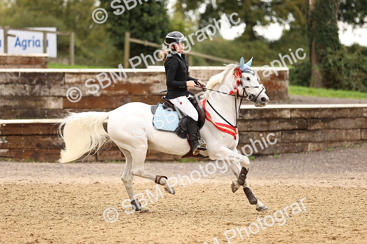 SBM_62977 - Supreme Championship 95cm 1.00m