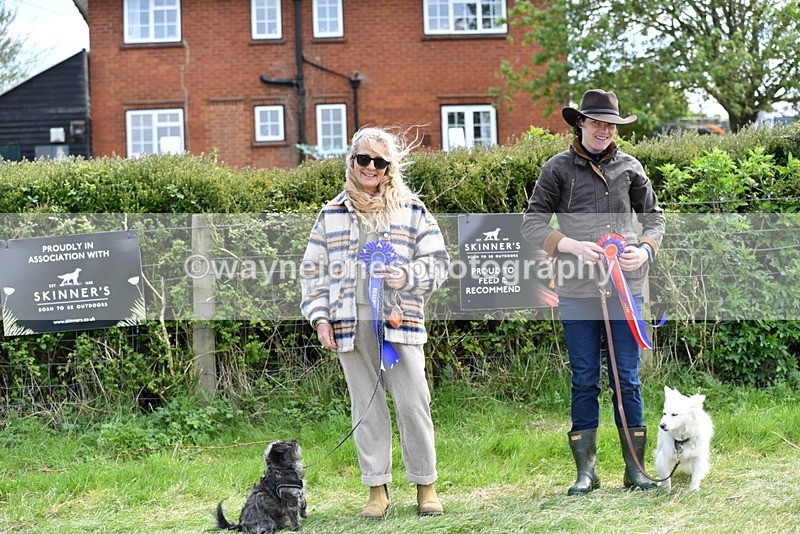 WJ5_0846 - Best in Show Championship