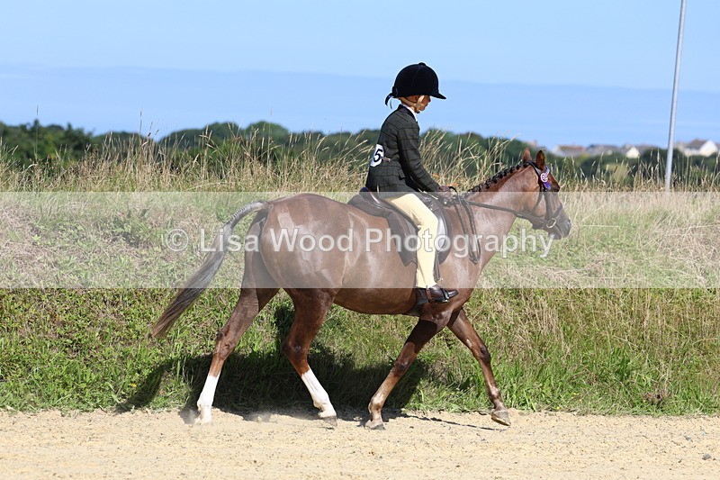 3E7A8103 - Class 16: First Ridden