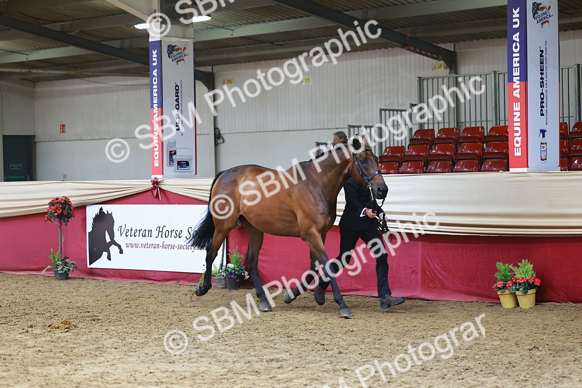 SBM_23192 - Class 903 - Supreme Final - IH Pre Vet