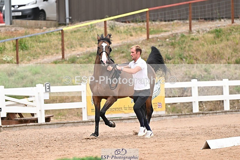 250716-161723-02546 - Trot Up 3.30 to 4.30
