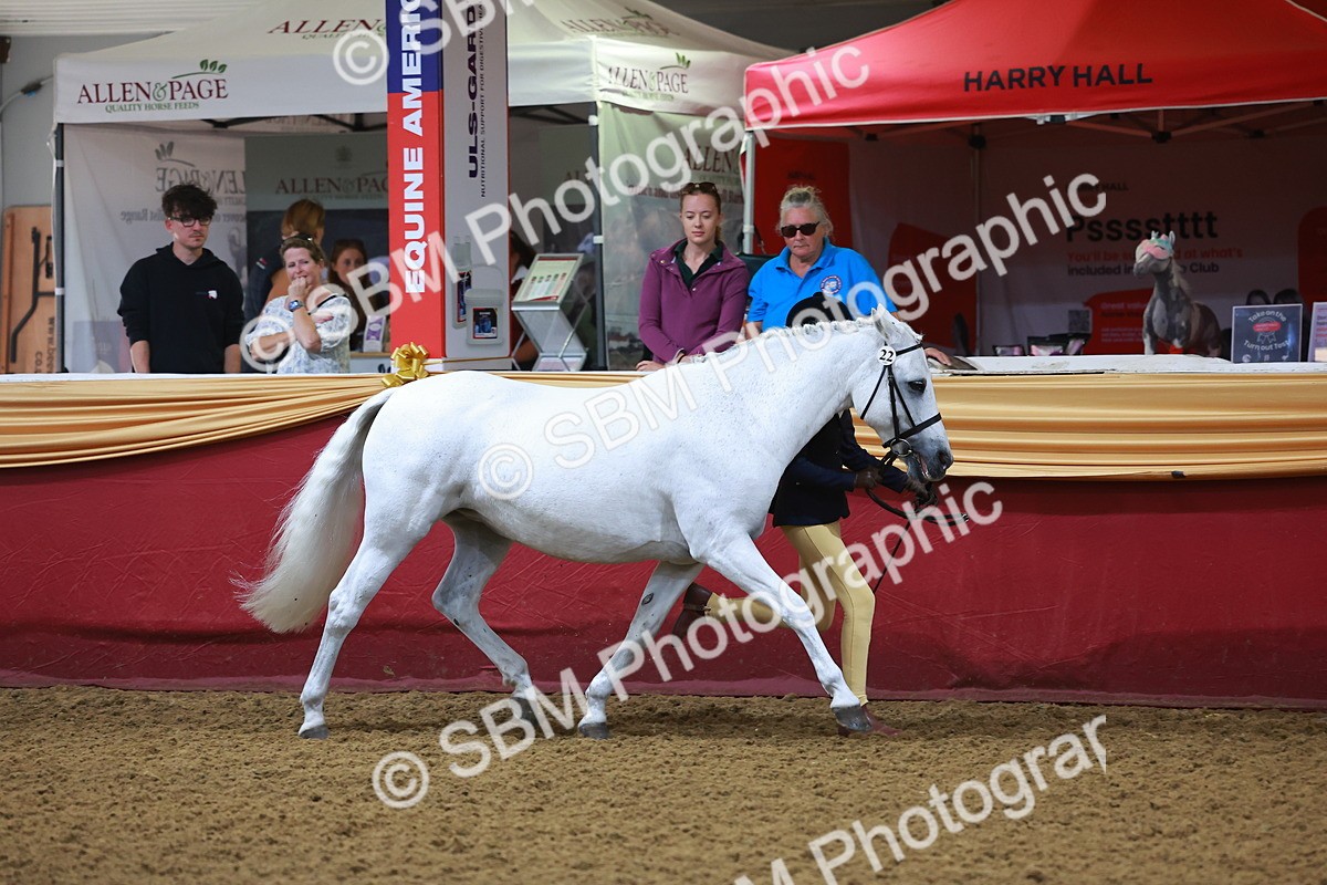 SBM_14697 - Class B - Junior Champ 11 to 16 Years