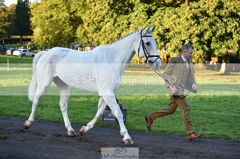 231022-084202-21299 - 608-SIR.HAROLD-William.Cursham-TrotUp+SJ