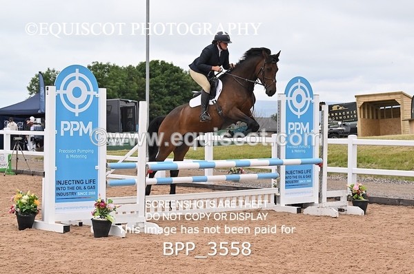 BPP_3558 - CLASS 1 WED Nupafeeds Senior Dicovery/1m open
