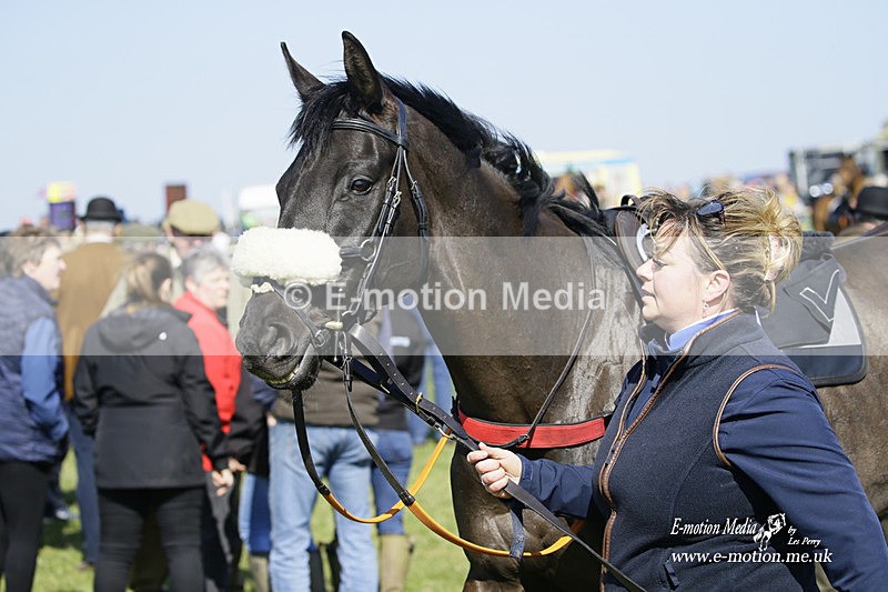 PtP 190322 147 - Wilton Hunt PtP Milborne St Andrew 19/03/22