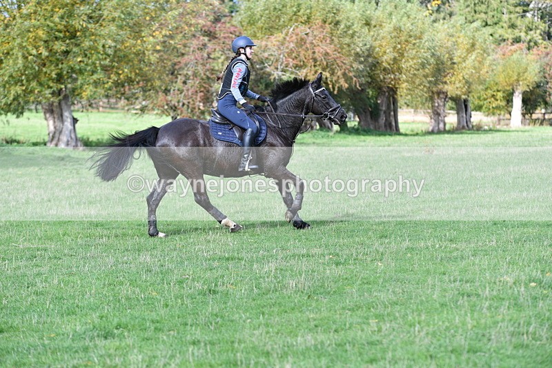 WJ5_7950 - Time 10:31 to 12:01