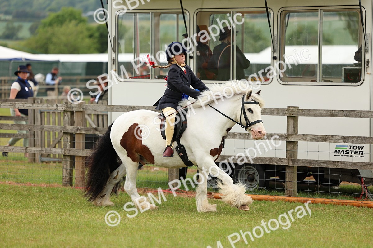 SBM_06255 - Class 39-41 TGCA In Hand and Ridden