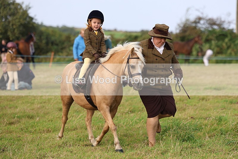 3E7A3579 - Class 2: Lead rein