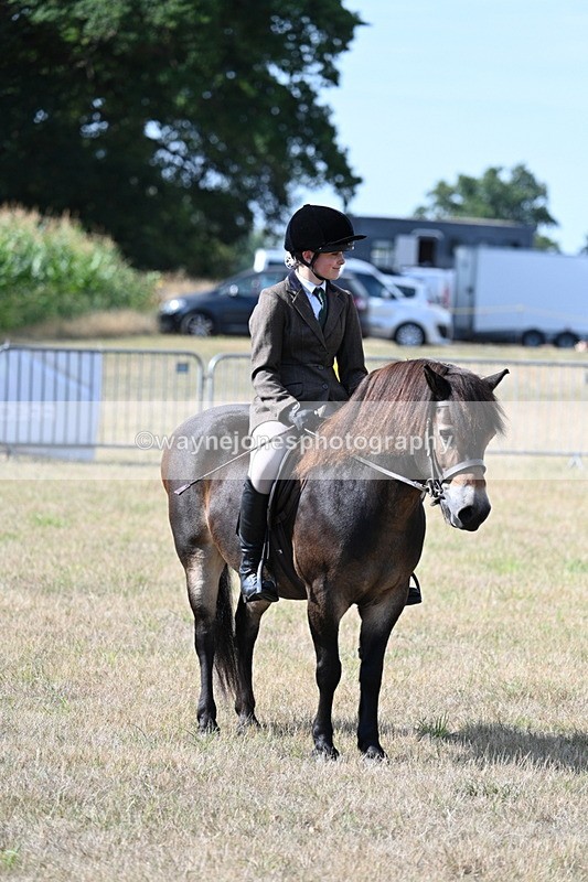 WJ7_2709 - Class 8 Ridden Tack & Turnout
