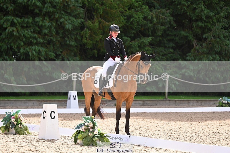 240809-104424-00377 - 173-Daisy.Winkle-Decandro.Hit.LDS