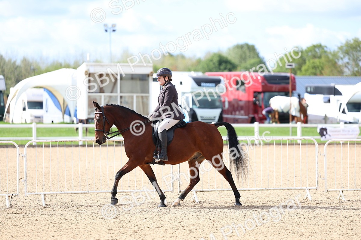 SBM_10772 - Class 305 - Ridden Foreign Breeds - Pure Bred