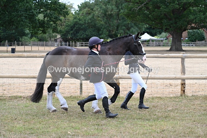 WJ7_8940 - Class 4a Prettiest Mare 14.2hh and over