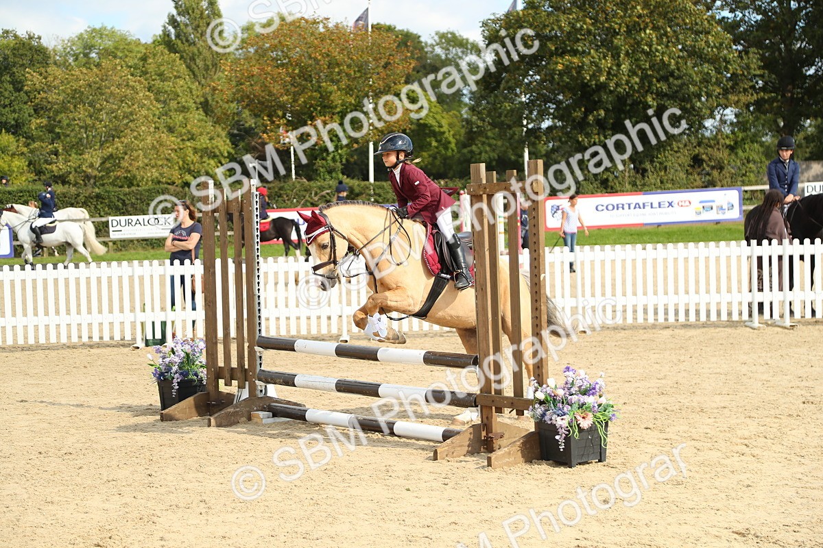 SBM_46628 - J7 - Junior Pony 60cm Championship